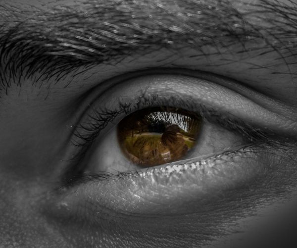 Macro shot of a human eye with silver light reflection